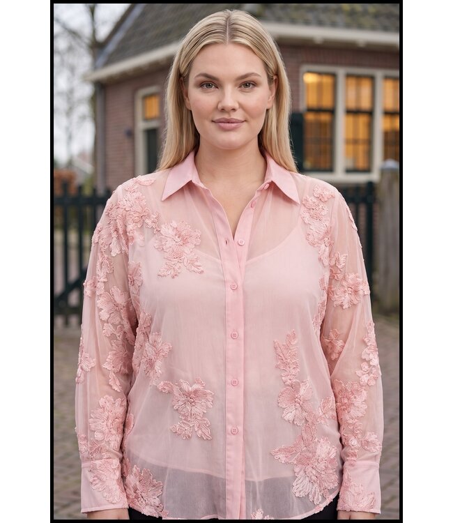 Pink Blouse