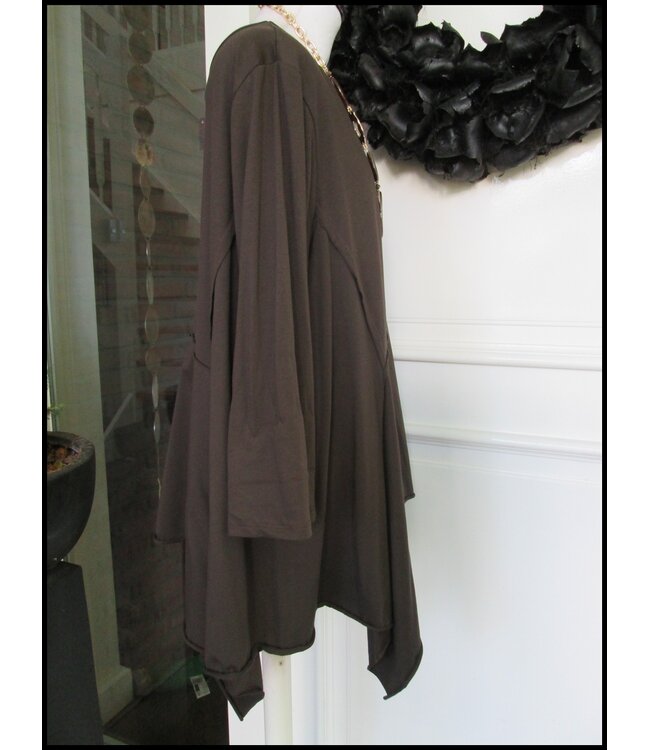 Brown Tunic