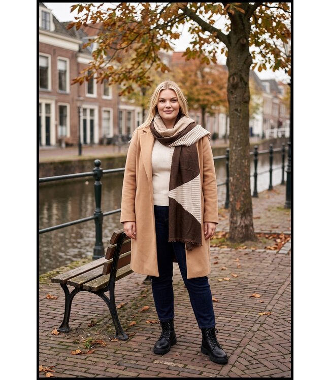 Brown Shawl