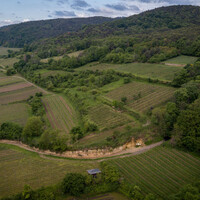 Exclusieve Grand Cru Tasting Weingut Seckinger | 17 februari 2026