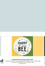 Echo Park Echo Park  Happy as can Bee  coordinating solids pack  12 x12