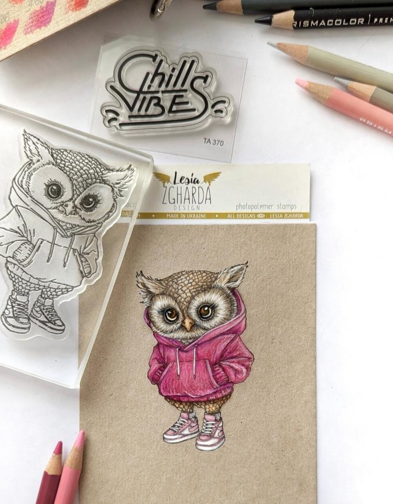 Lesia Zgharda Lesia Zgharda  Cool Owl in a Hoodie  FA268