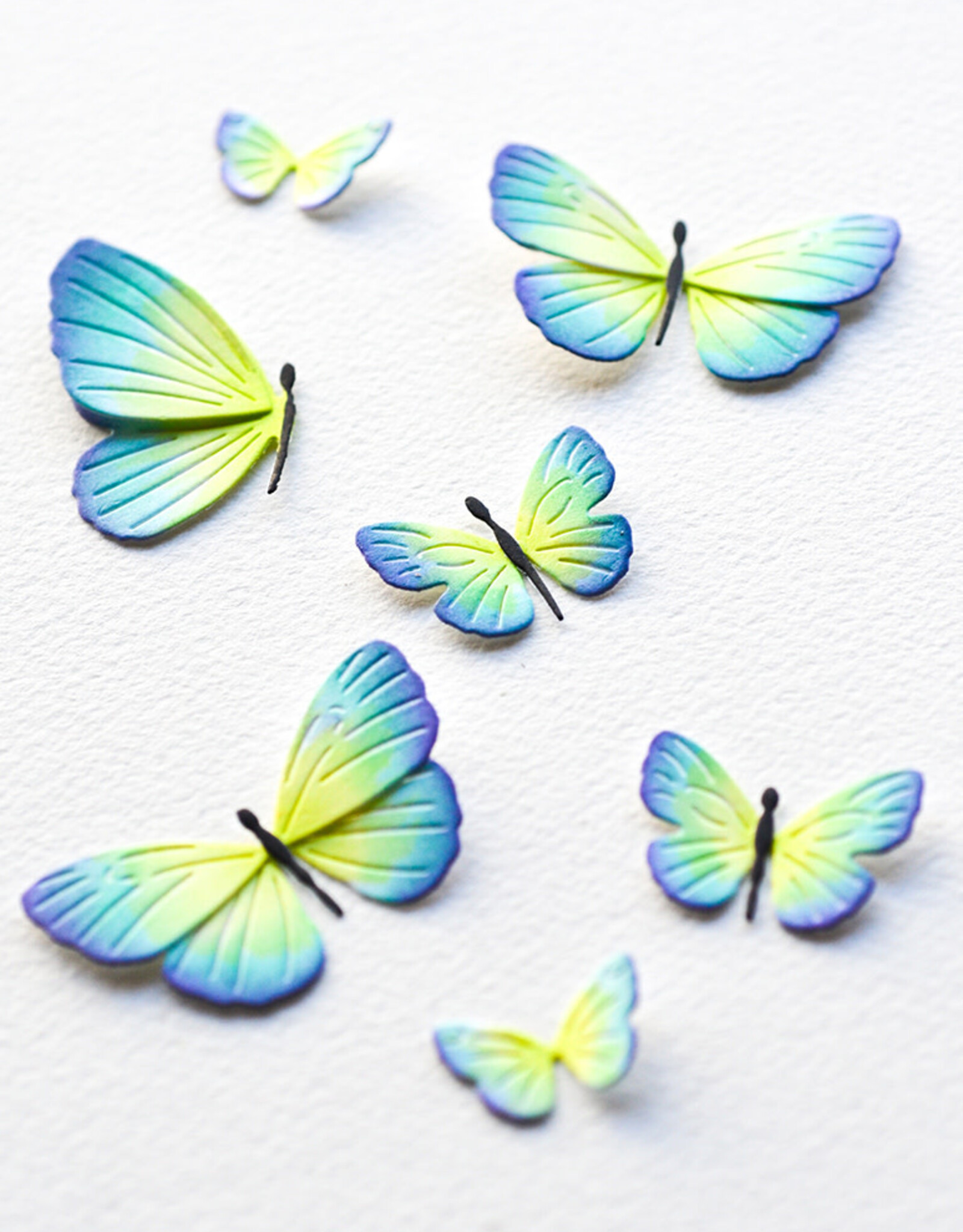 Memorybox Memorybox  Exquisite Butterflies craft die 94771