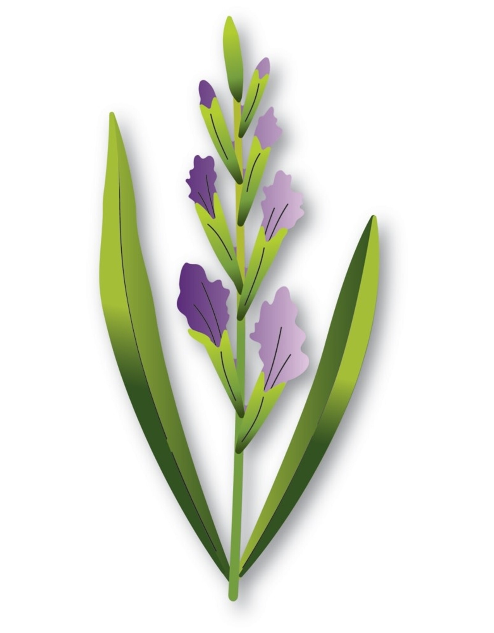 Memorybox Memorybox  Budding Gladiola Stem craft die 94792