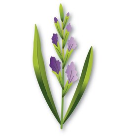 Memorybox Memorybox  Budding Gladiola Stem craft die 94792