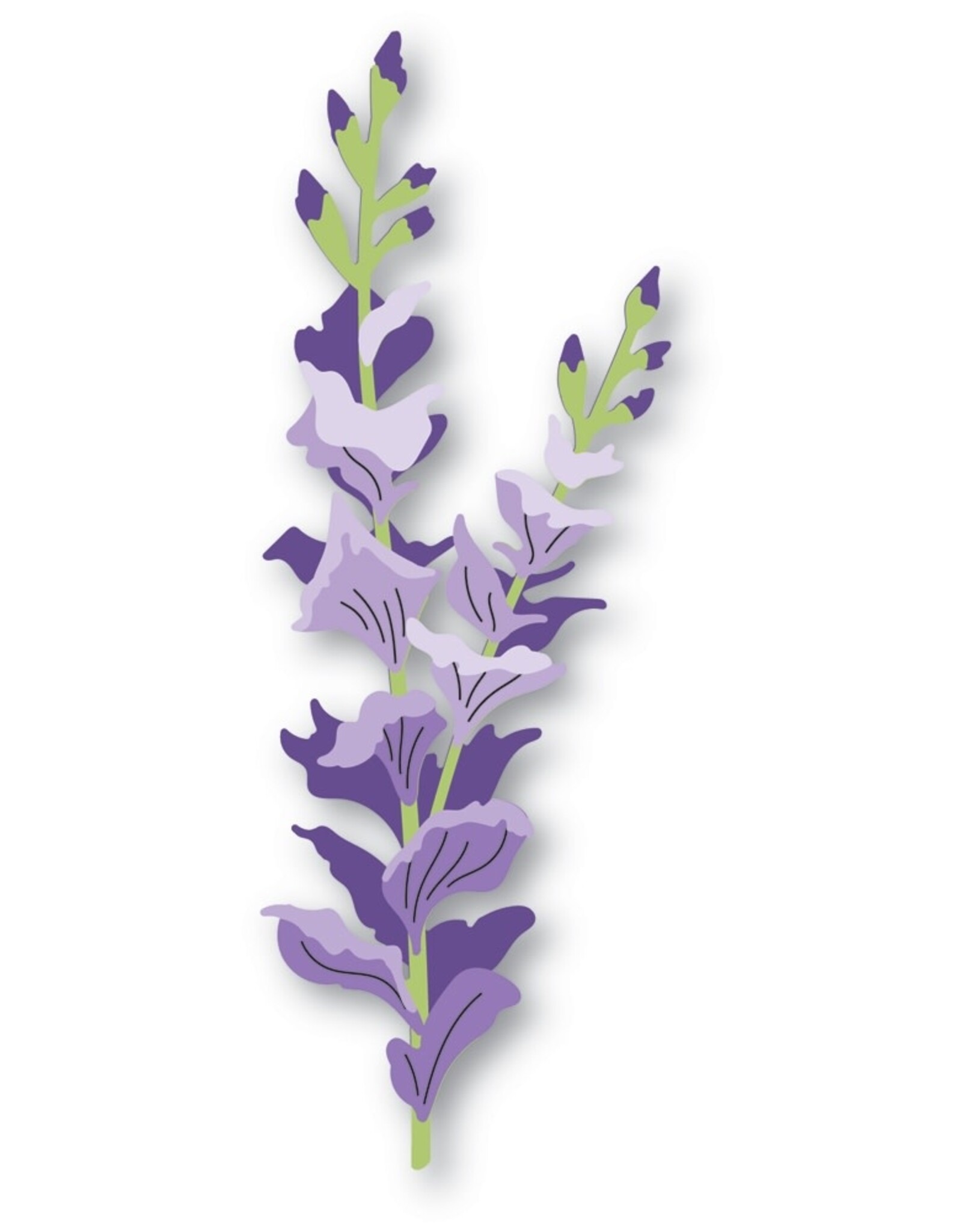 Memorybox Memorybox Fanciful Gladiola Stem craft die 94791