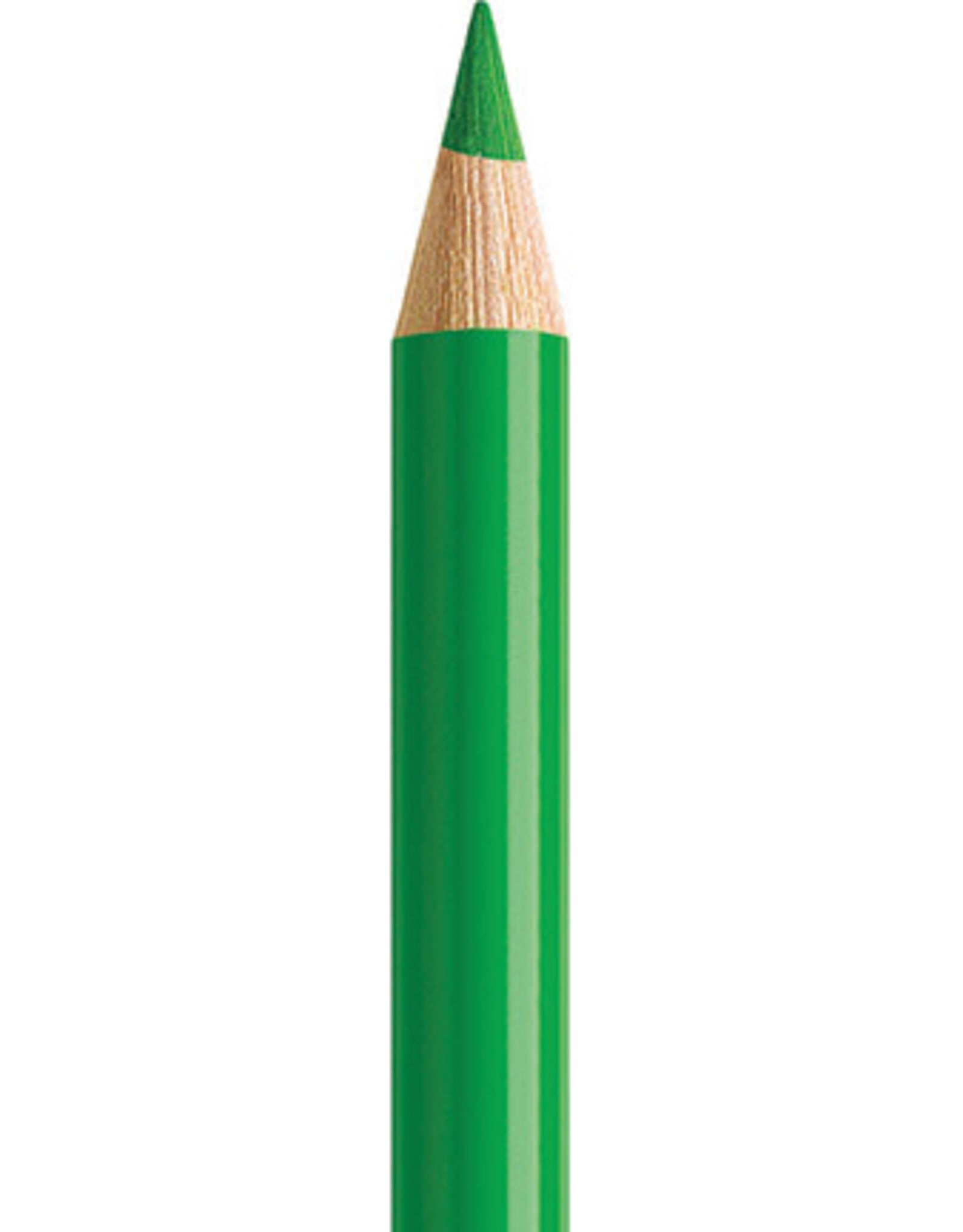 Faber Castell Faber Castell Polychromos Kleurpotlood  Loofgroen  112