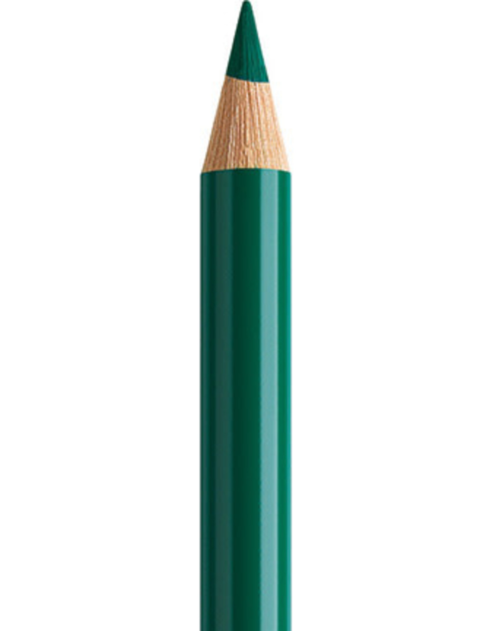 Faber Castell Faber Castell Polychromos - Kleurpotlood - Hooker's Green 159
