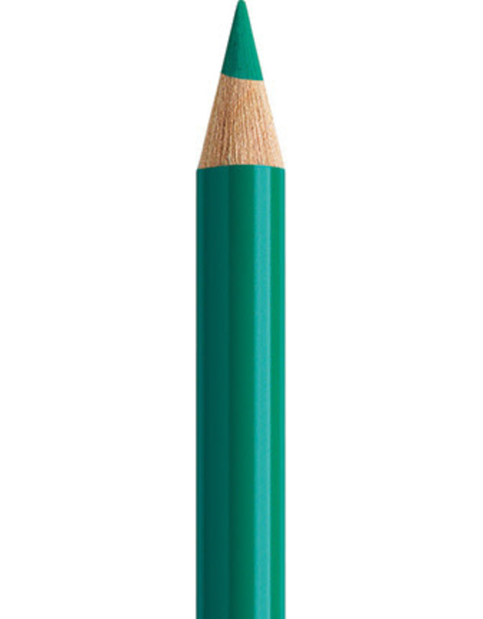 Faber Castell Faber Castell Polychromos - Kleurpotlood - Phthalo Green 161