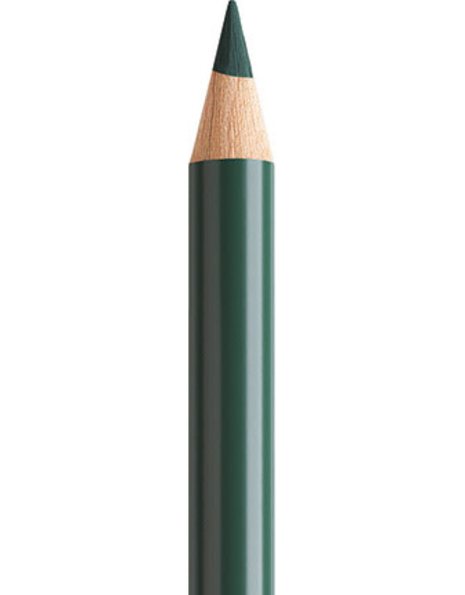 Faber Castell Faber Castell Polychromos - Kleurpotlood - Juniper Green 165