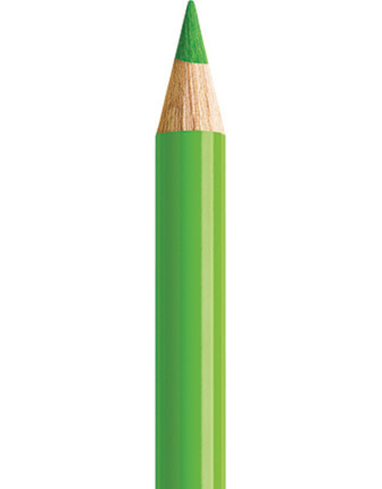 Faber Castell Faber Castell Polychromos - Kleurpotlood - Grass Green 166