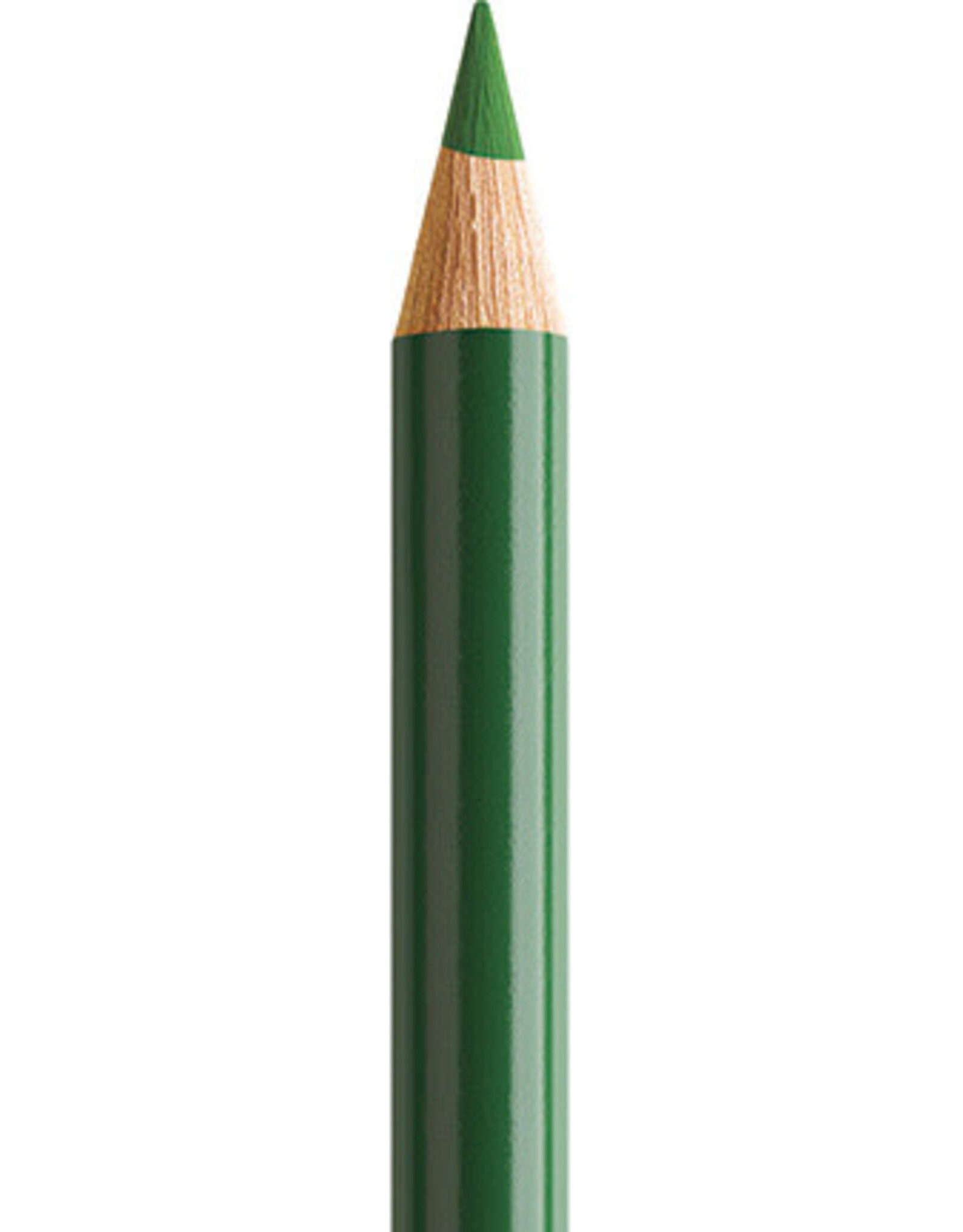 Faber Castell Faber Castell Polychromos - Kleurpotlood - Permanent Green Olive 167