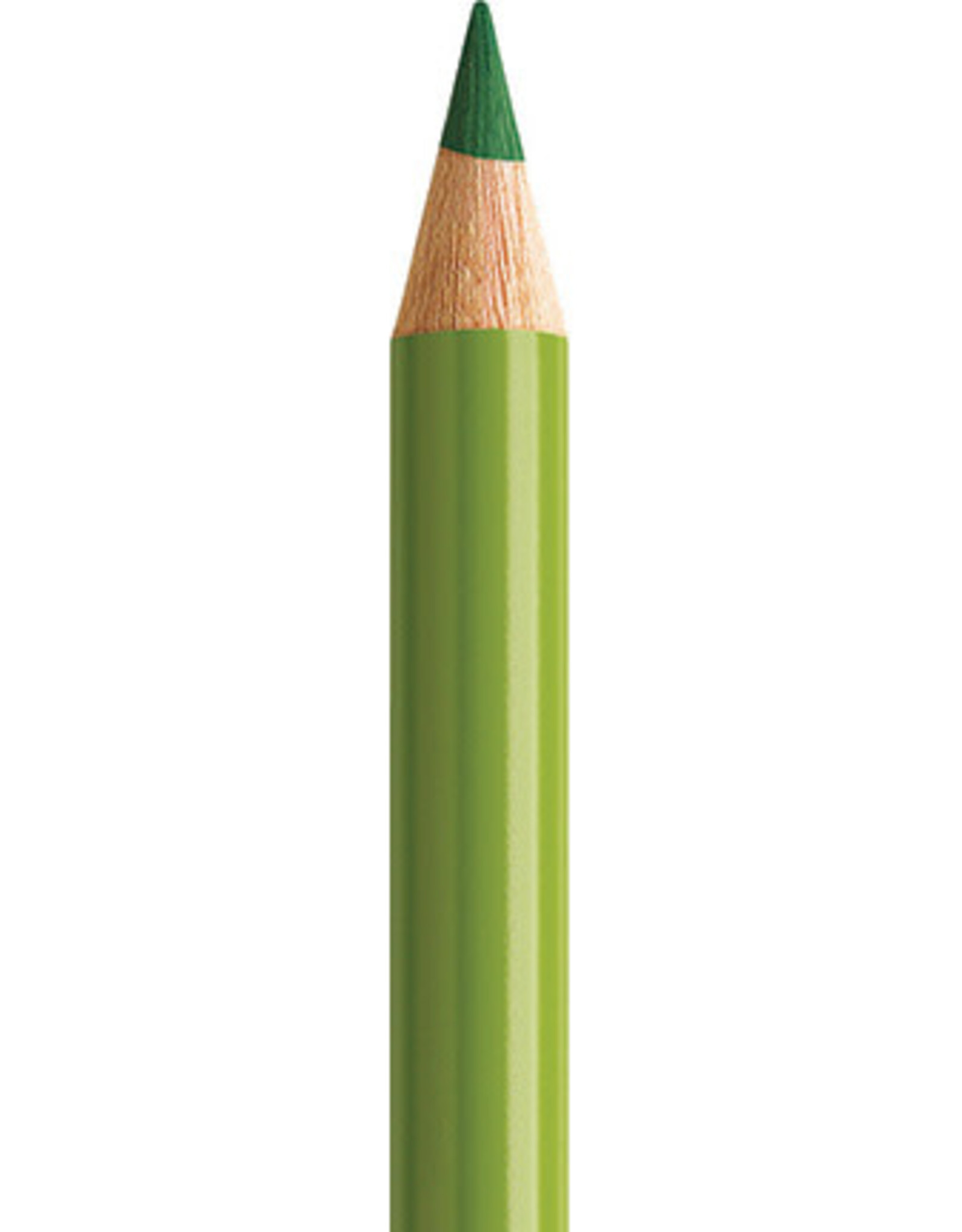 Faber Castell Faber Castell Polychromos - Kleurpotlood - Earth Green Yellowish 168