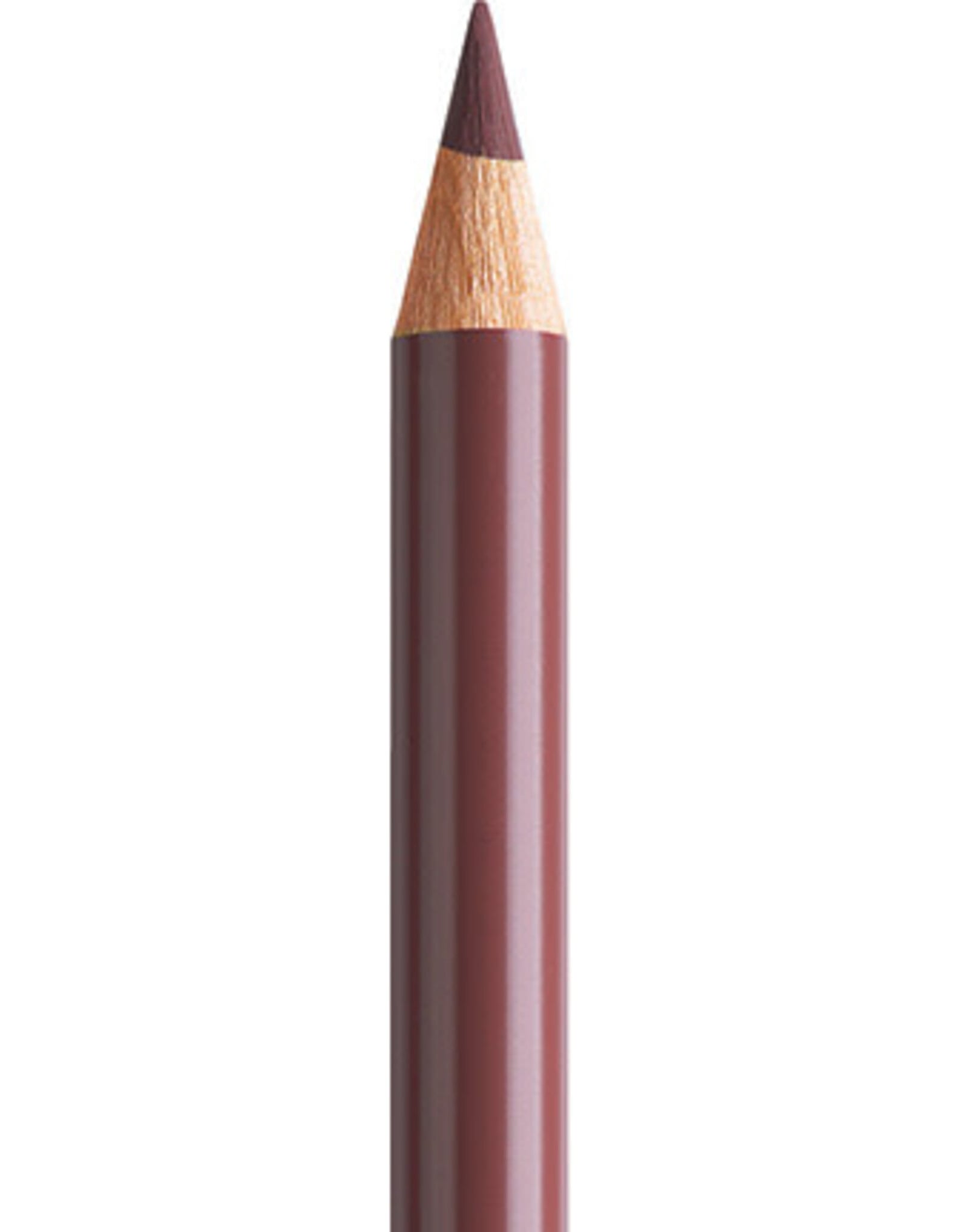 Faber Castell Faber Castell Polychromos - Kleurpotlood - Caput Mortuum 169