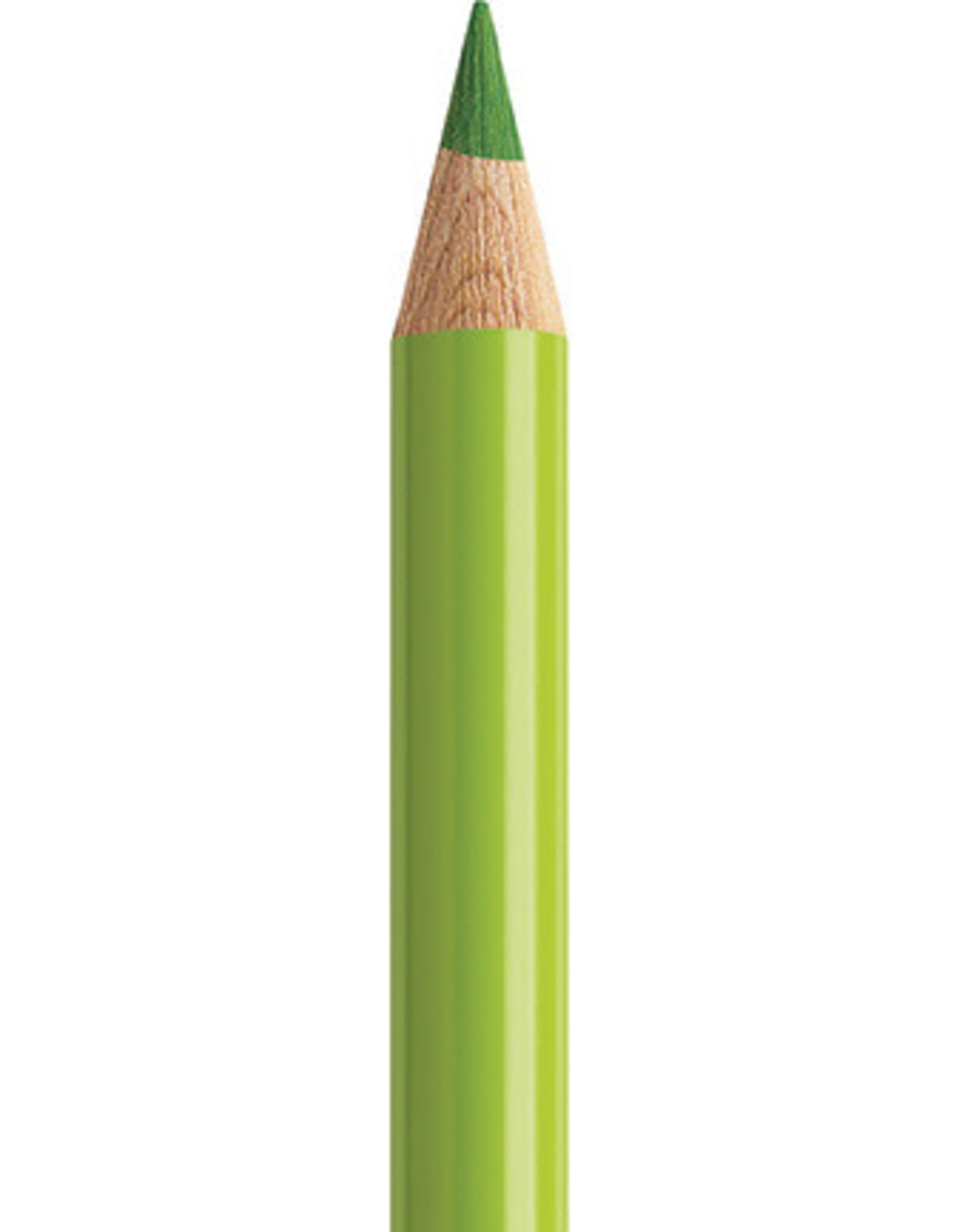Faber Castell Faber Castell Polychromos - Kleurpotlood - May Green 170