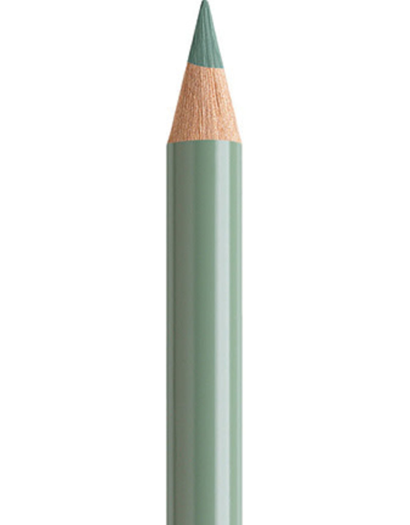 Faber Castell Faber Castell Polychromos - Kleurpotlood - Earth Green 172