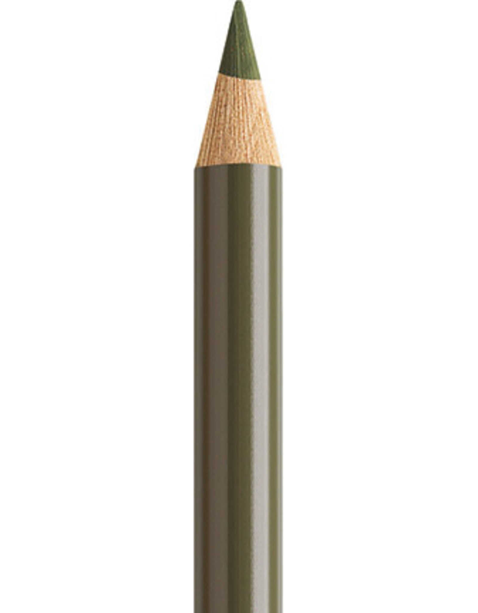 Faber Castell Faber Castell Polychromos - Kleurpotlood - Olive Green Yellowish 173
