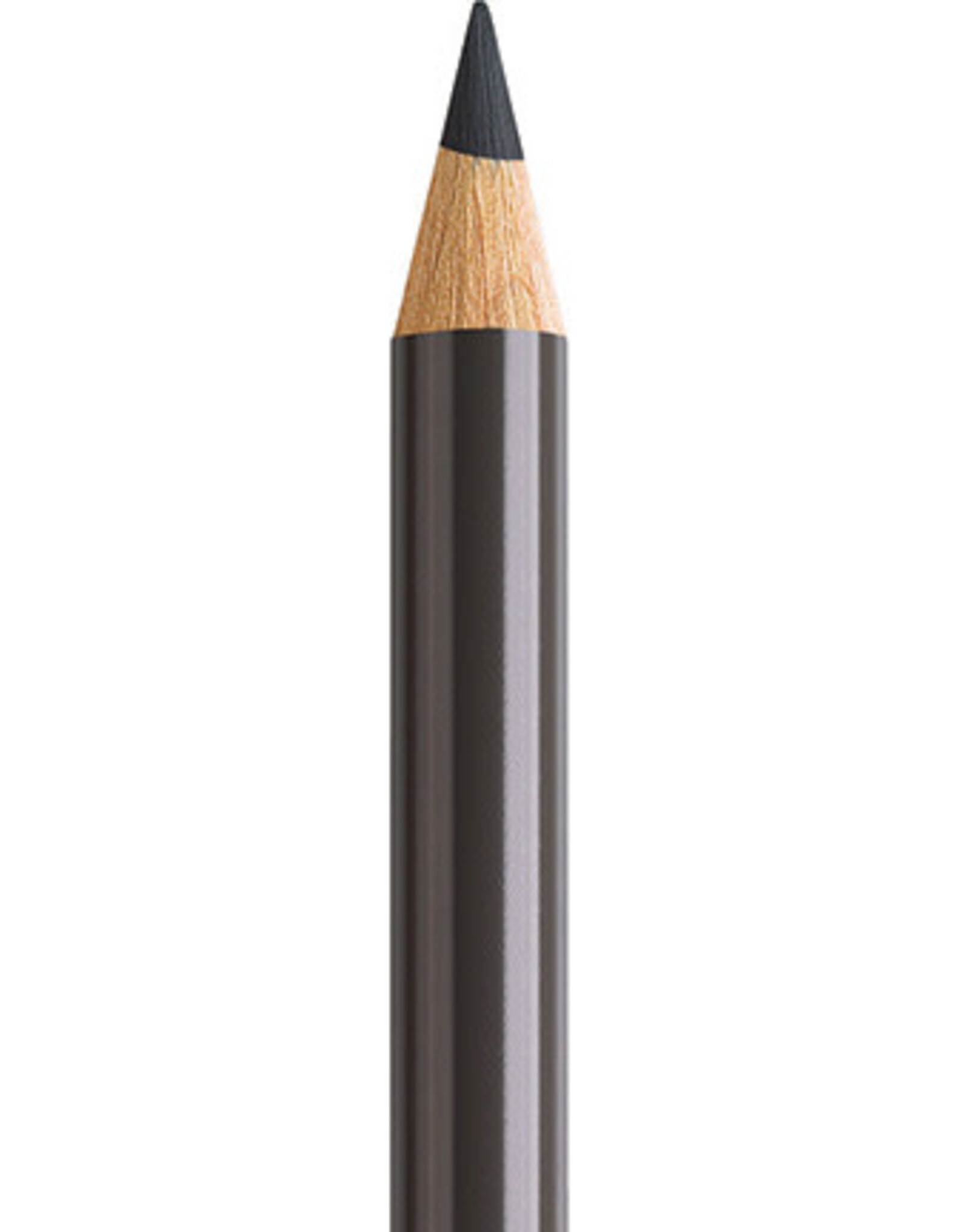 Faber Castell Faber Castell Polychromos - Kleurpotlood - Dark Sepia 175