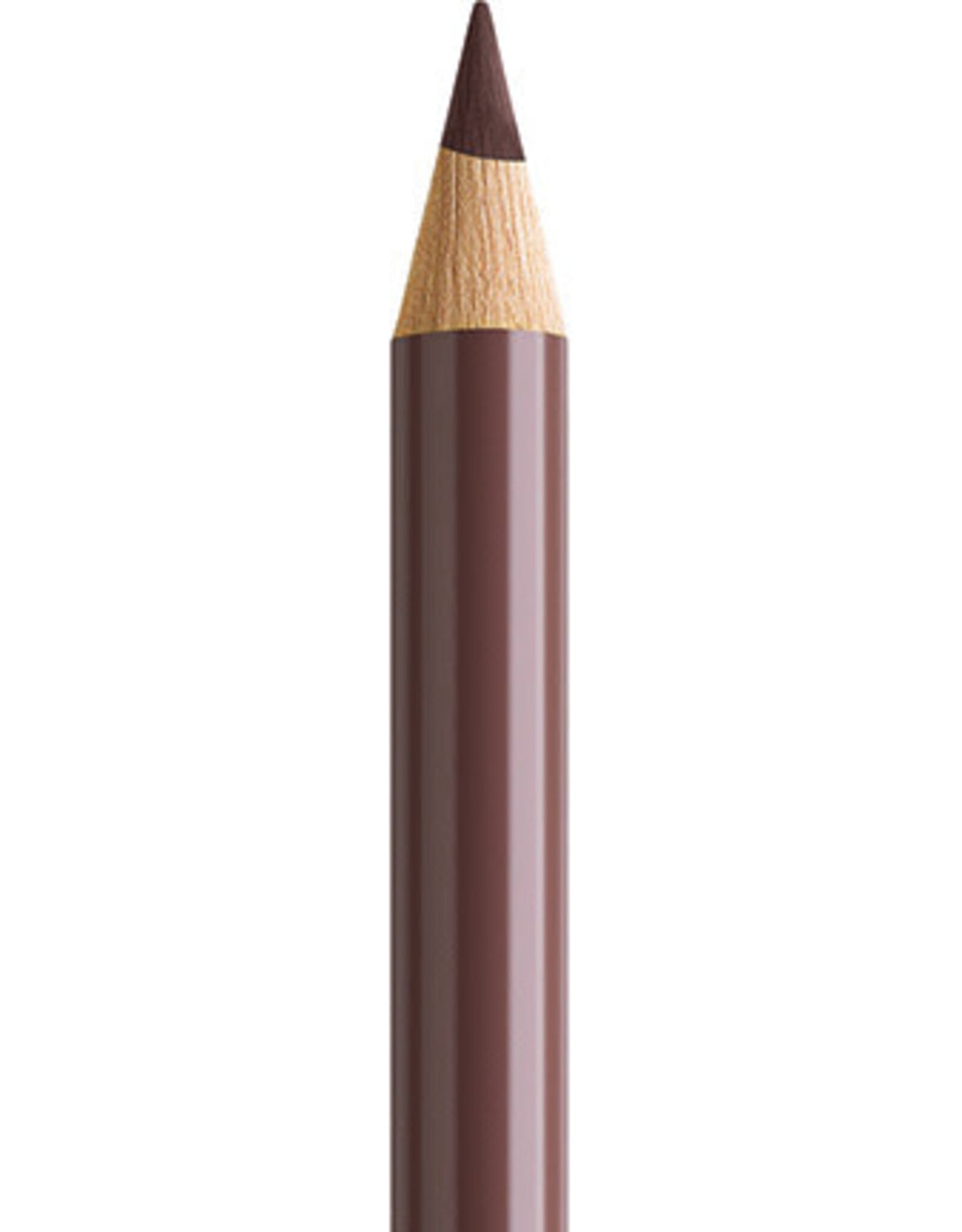 Faber Castell Faber Castell Polychromos - Kleurpotlood - Van Dyck Brown 176
