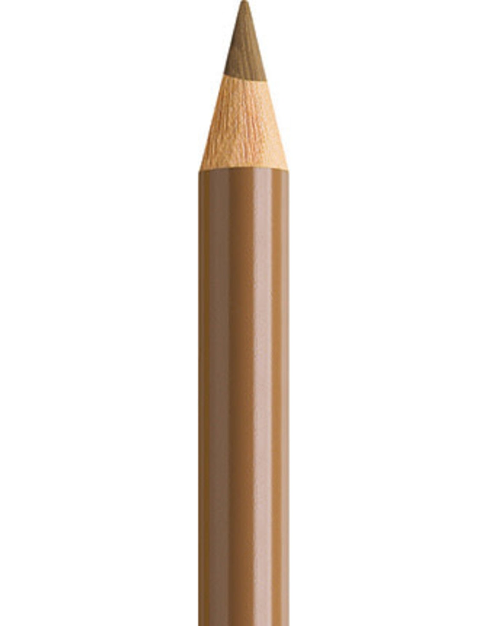 Faber Castell Faber Castell Polychromos - Kleurpotlood - Raw Umber 180