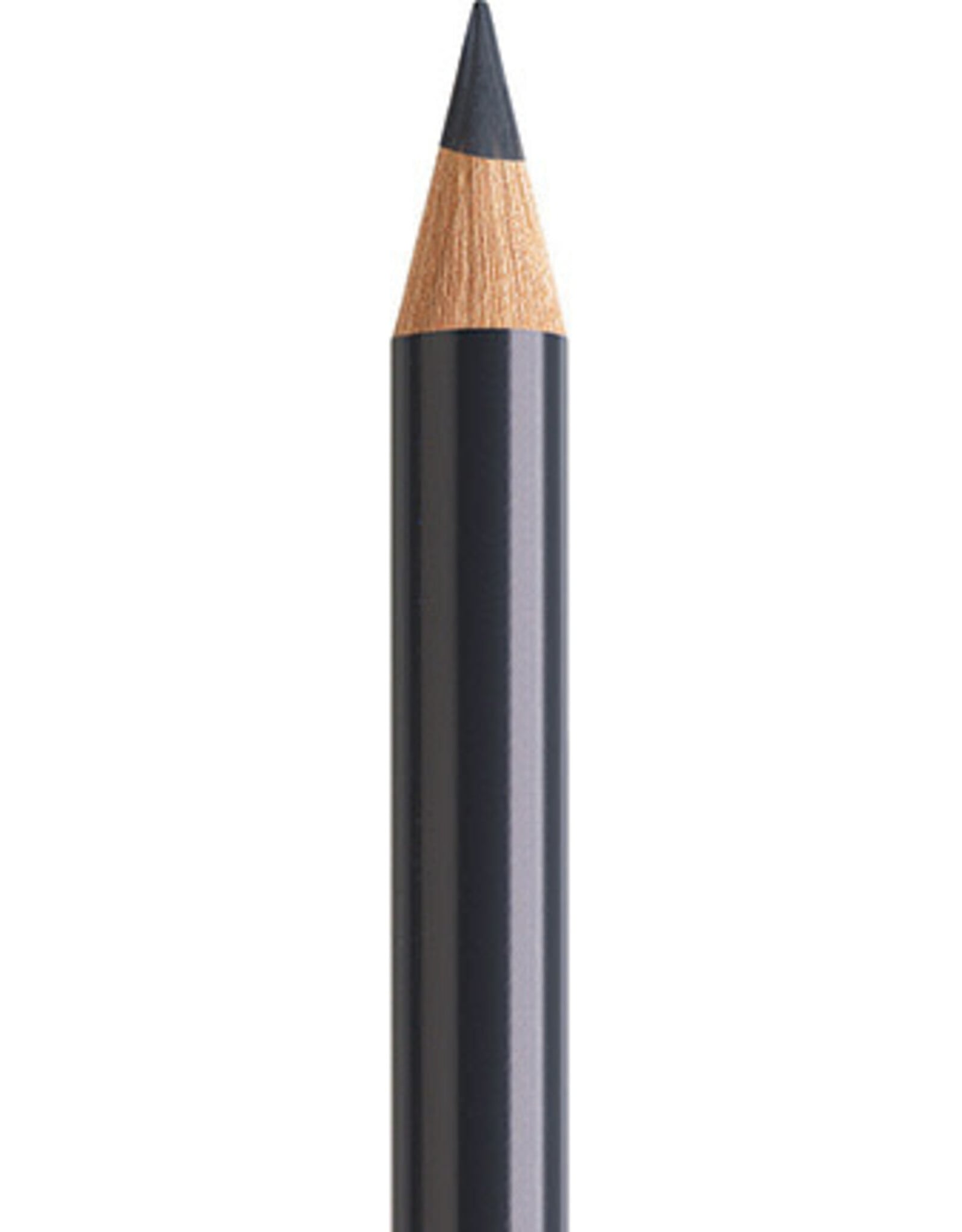 Faber Castell Faber Castell Polychromos - Kleurpotlood - Payne`s Grey 181