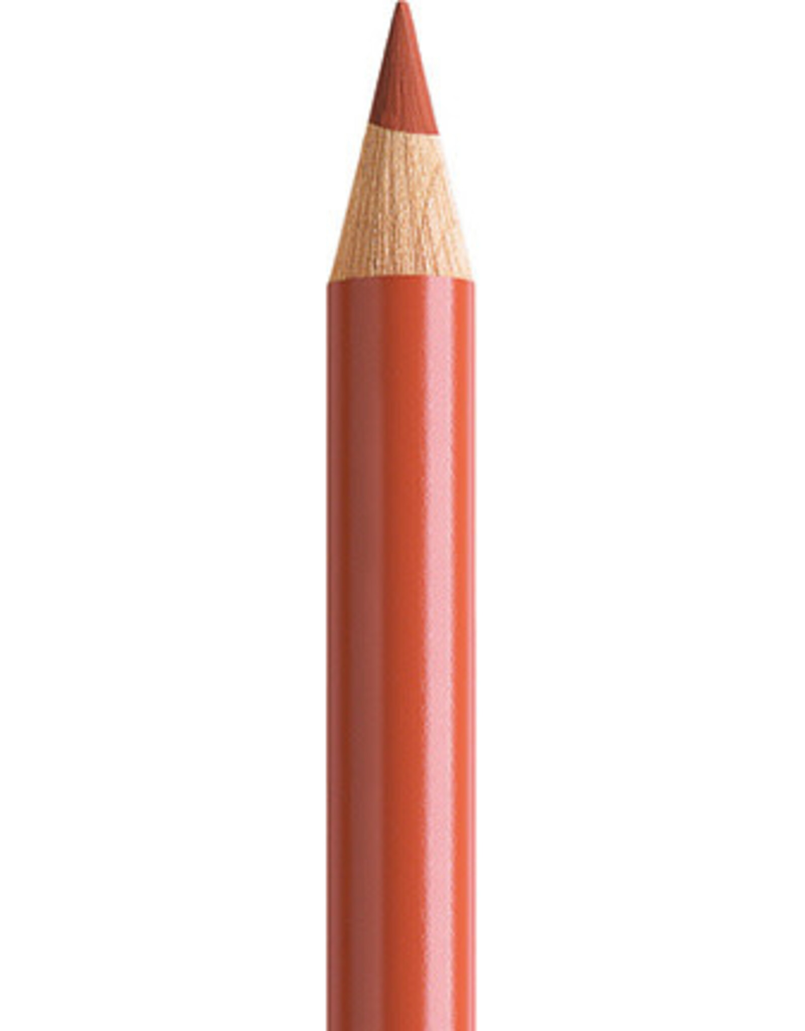 Faber Castell Faber Castell Polychromos - Kleurpotlood - Sanguine 188