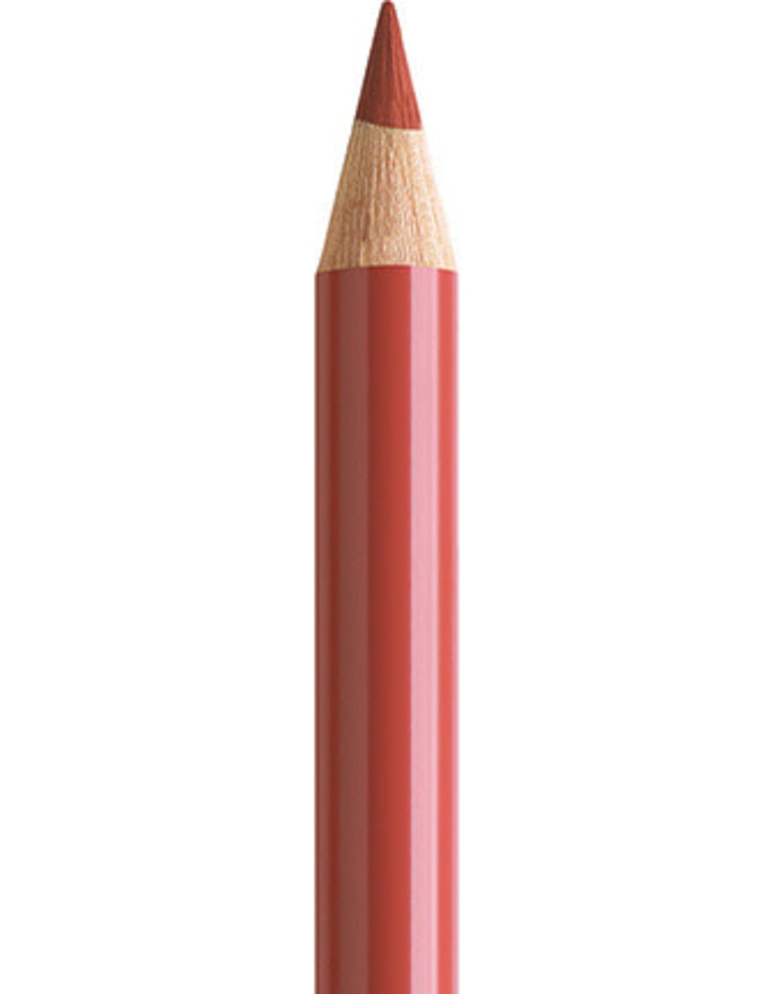 Faber Castell Faber Castell Polychromos - Kleurpotlood - Venetian Red 190