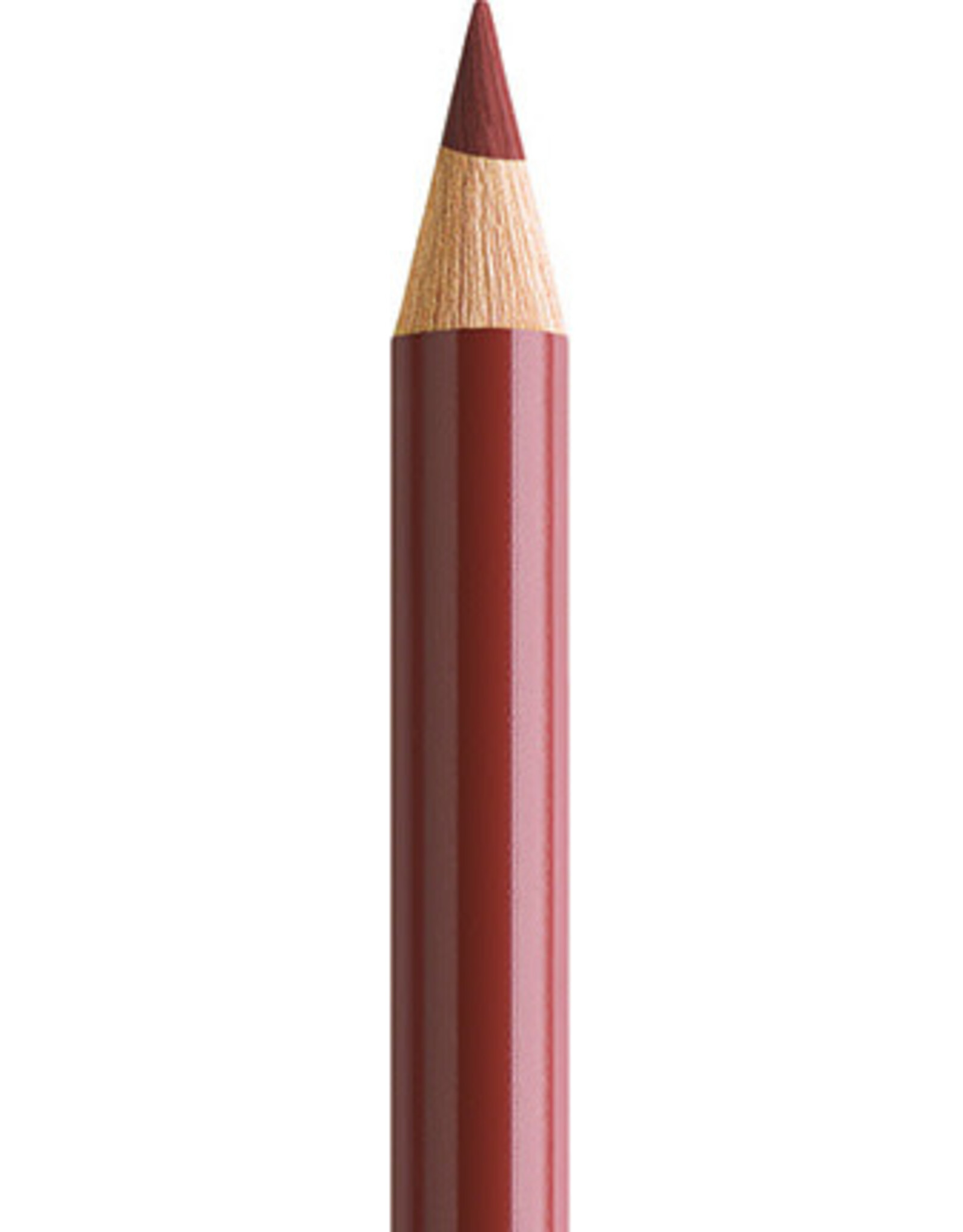 Faber Castell Faber Castell Polychromos - Kleurpotlood - Indian Red 192