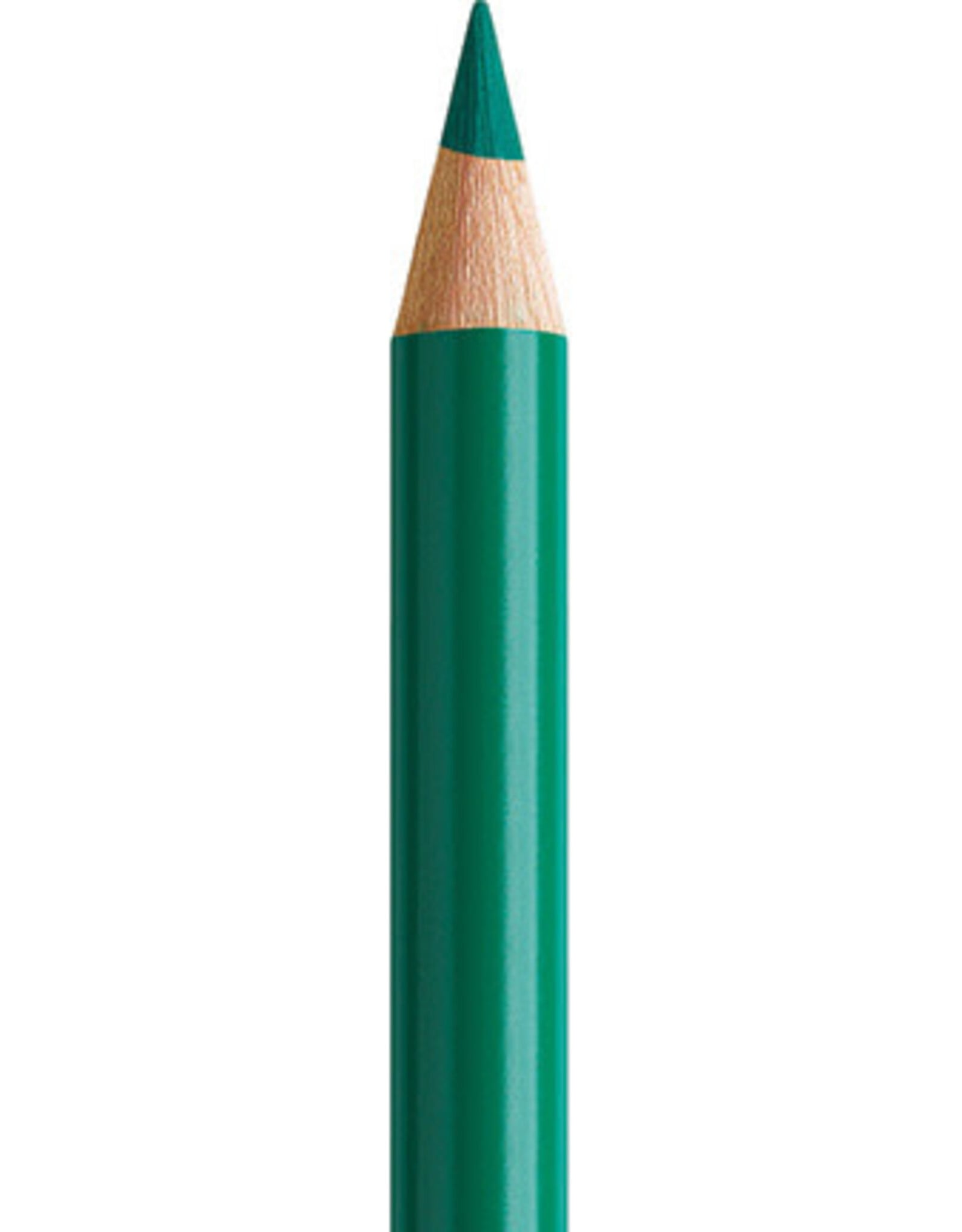 Faber Castell Faber Castell Polychromos - Kleurpotlood - Dark Phthalo Green 264
