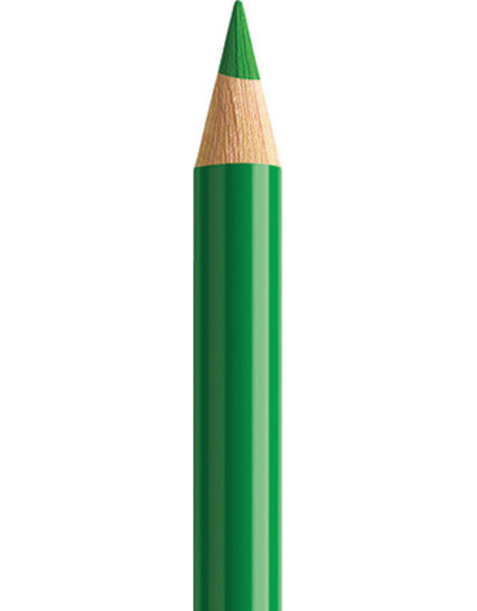 Faber Castell Faber Castell Polychromos - Kleurpotlood - Permanent Green 266