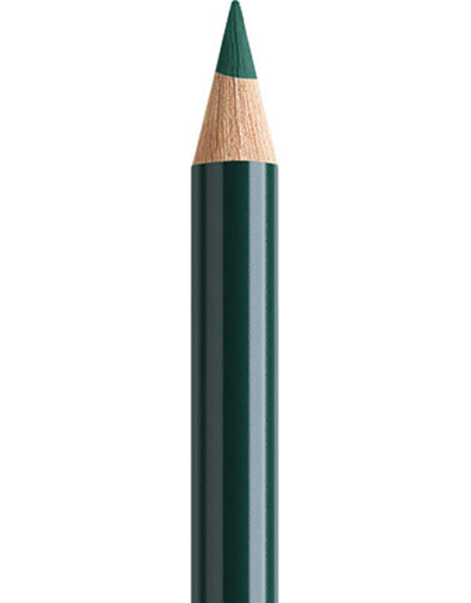Faber Castell Faber Castell Polychromos - Kleurpotlood - Pine Green 267