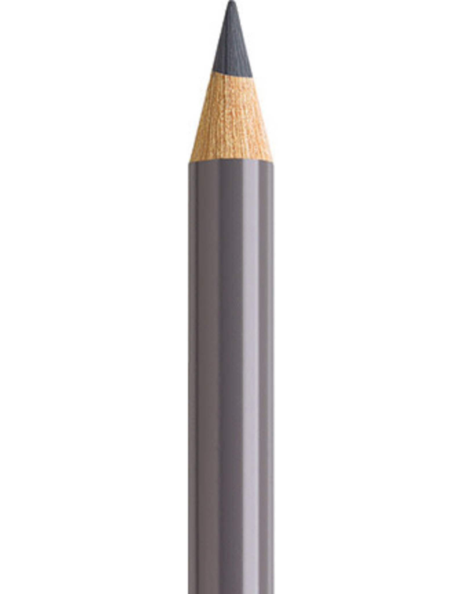 Faber Castell Faber Castell Polychromos - Kleurpotlood - Warm Grey 5   274