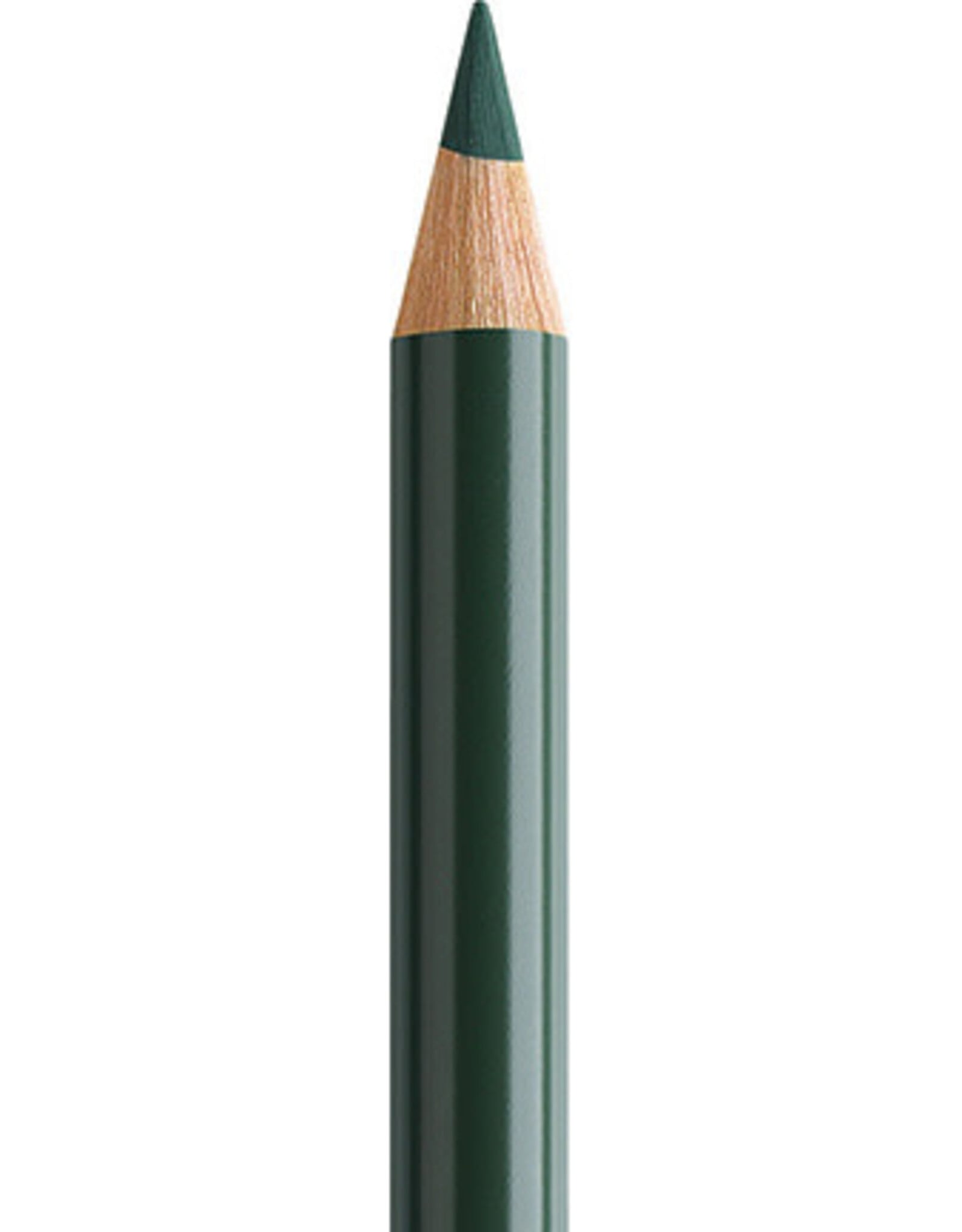 Faber Castell Faber Castell Polychromos - Kleurpotlood - Chrome Oxide Green 278