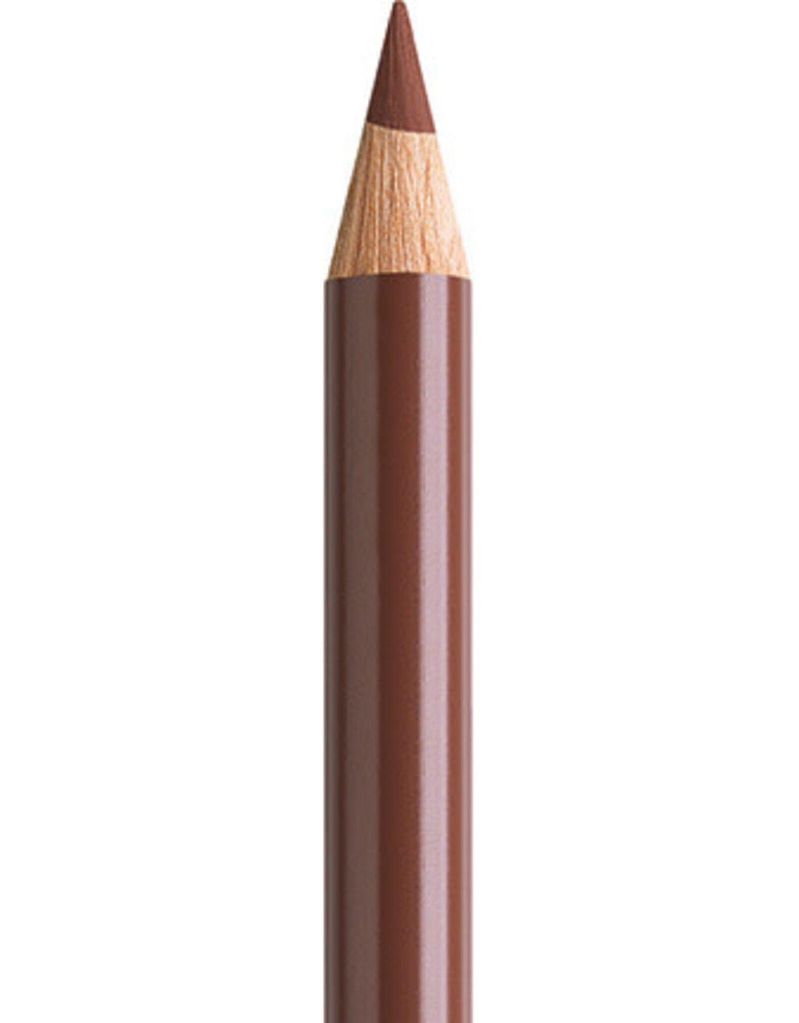 Faber Castell Faber Castell Polychromos - Kleurpotlood - Burnt Sienna 283