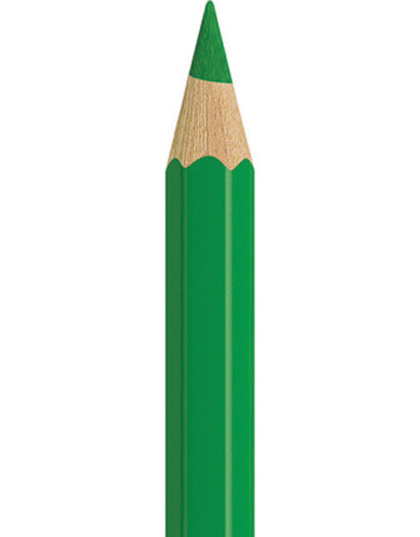 Faber Castell Faber Castell - Albrecht Dürer - Aquarelpotlood Leaf green 112