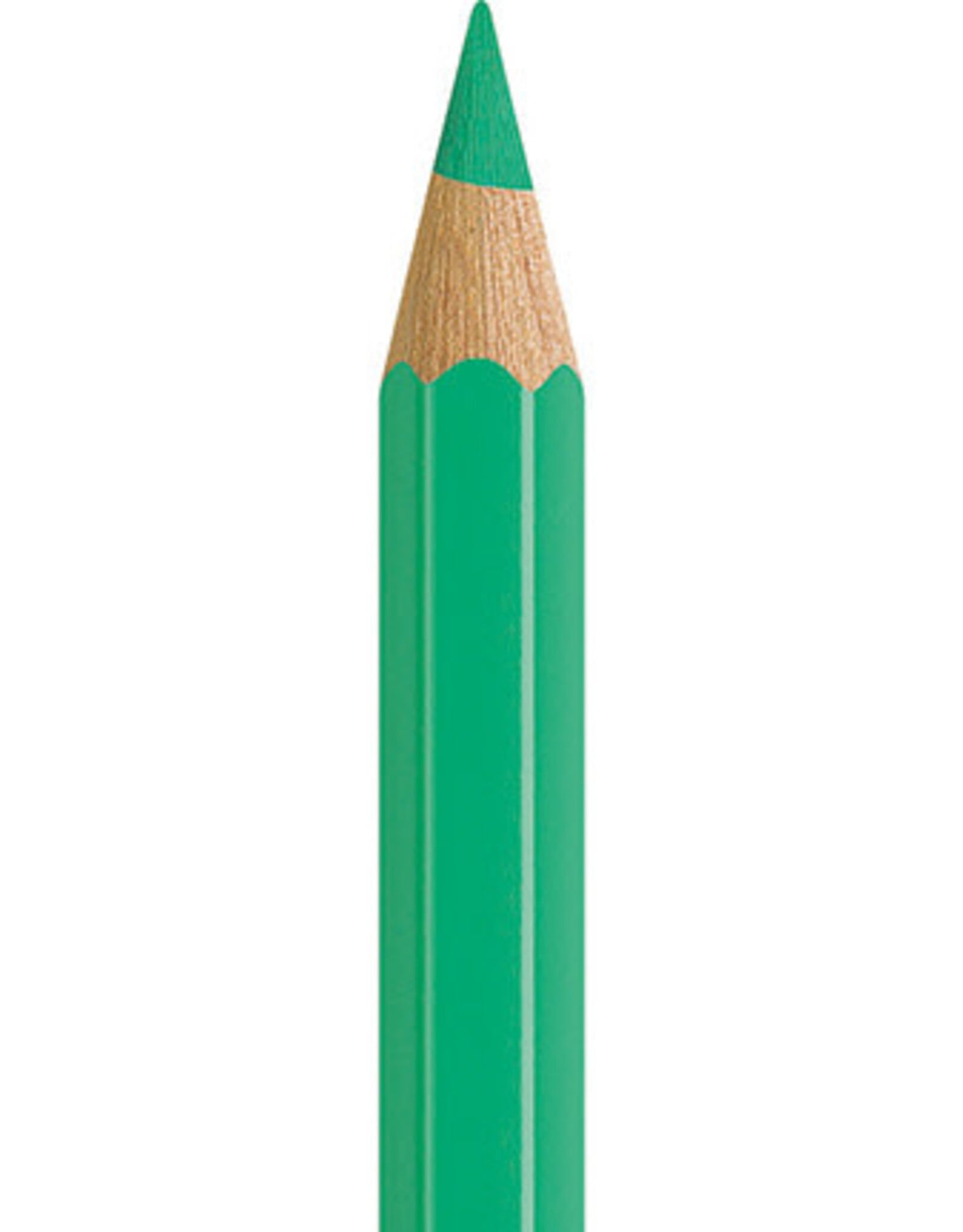 Faber Castell Faber Castell - Albrecht Dürer - Aquarelpotlood Light phthalo green 162
