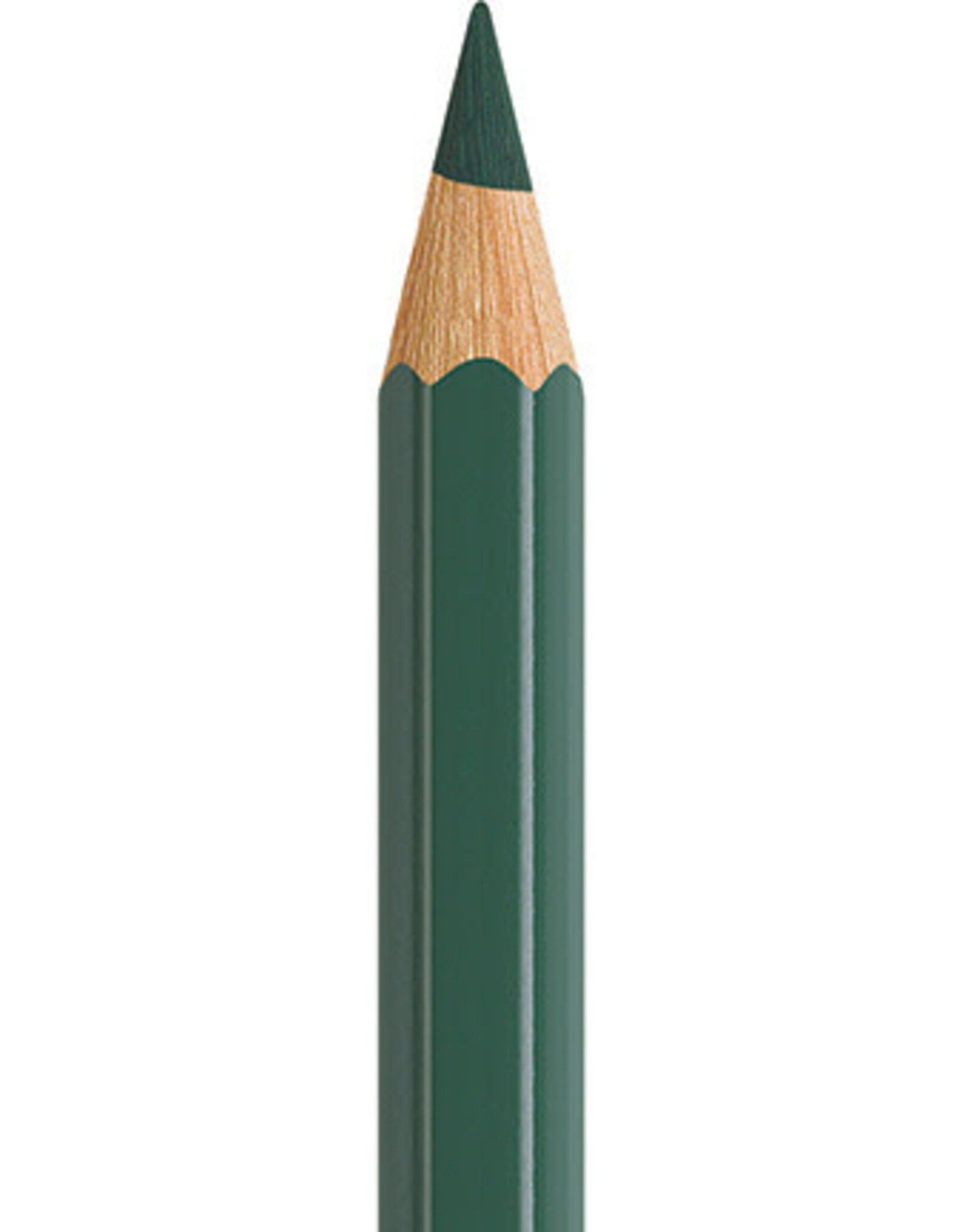 Faber Castell Faber Castell - Albrecht Dürer - Aquarelpotlood Juniper green 165