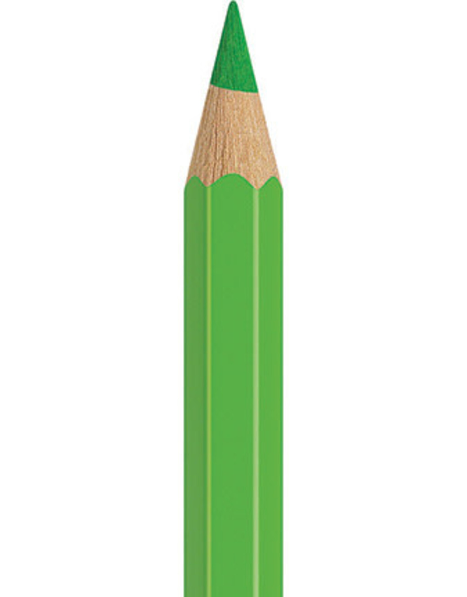 Faber Castell Faber Castell - Albrecht Dürer - Aquarelpotlood Grass green 166
