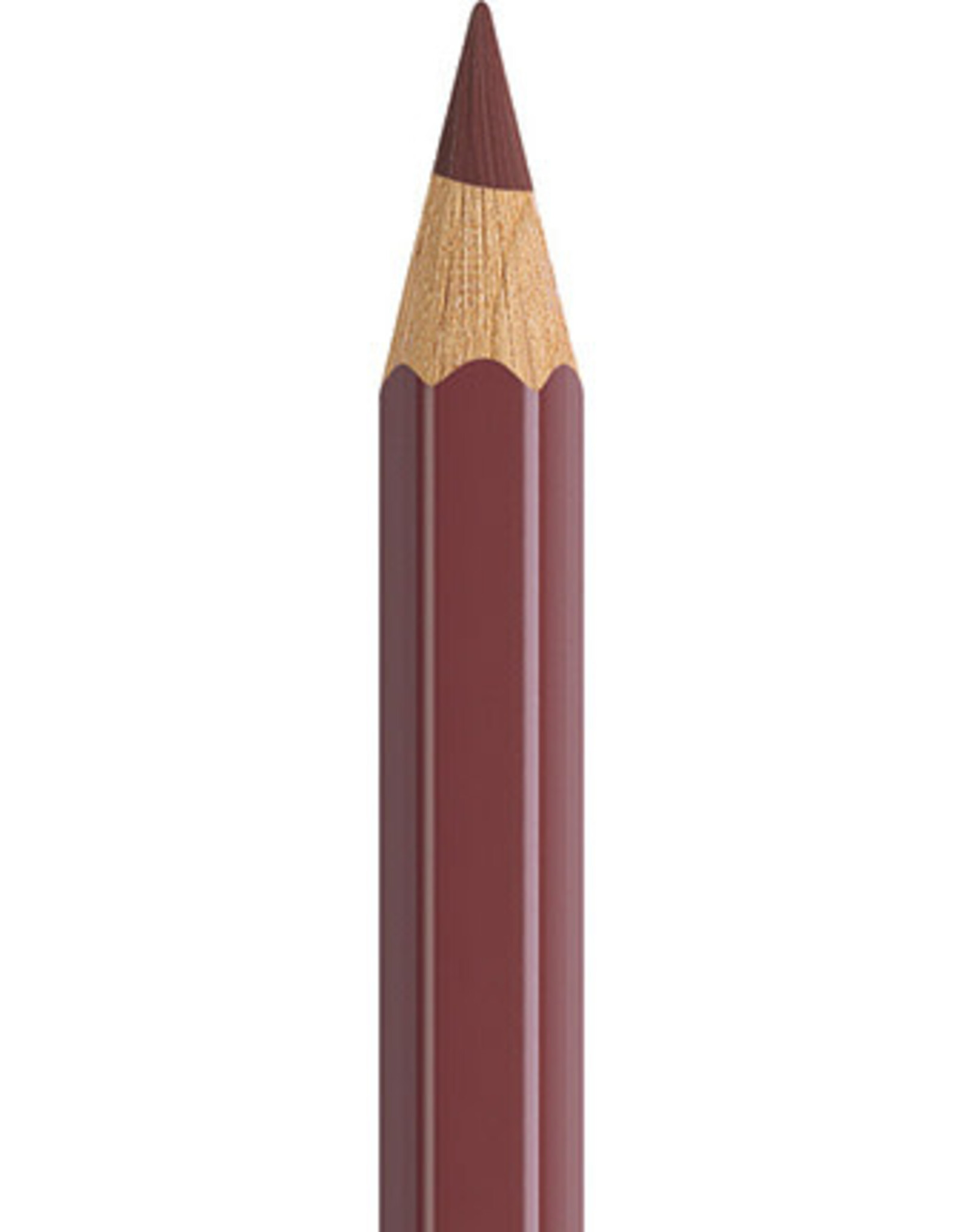 Faber Castell Faber Castell - Albrecht Dürer - Aquarelpotlood Caput mortuum  169