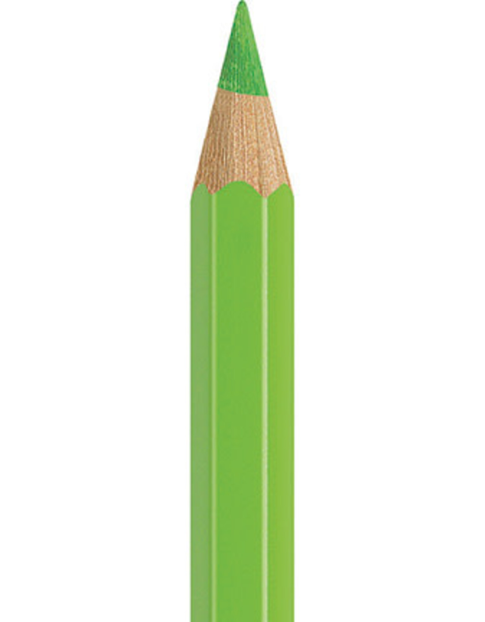 Faber Castell Faber Castell - Albrecht Dürer - Aquarelpotlood Light green  171