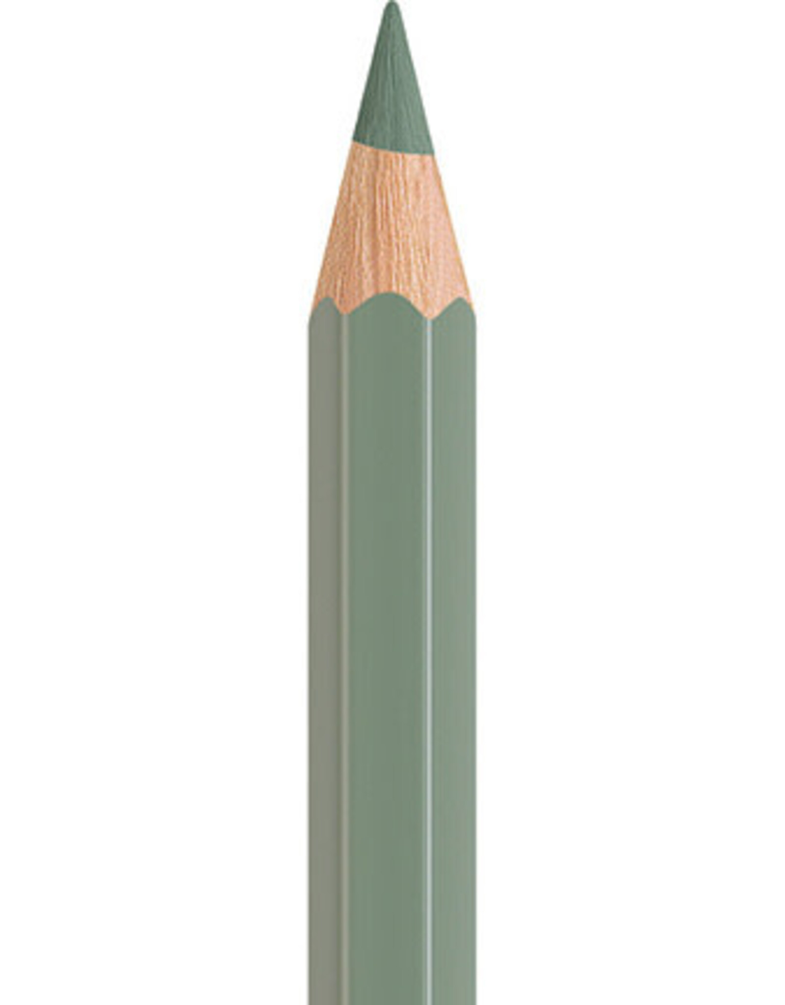Faber Castell Faber Castell - Albrecht Dürer - Aquarelpotlood  Earth green  172