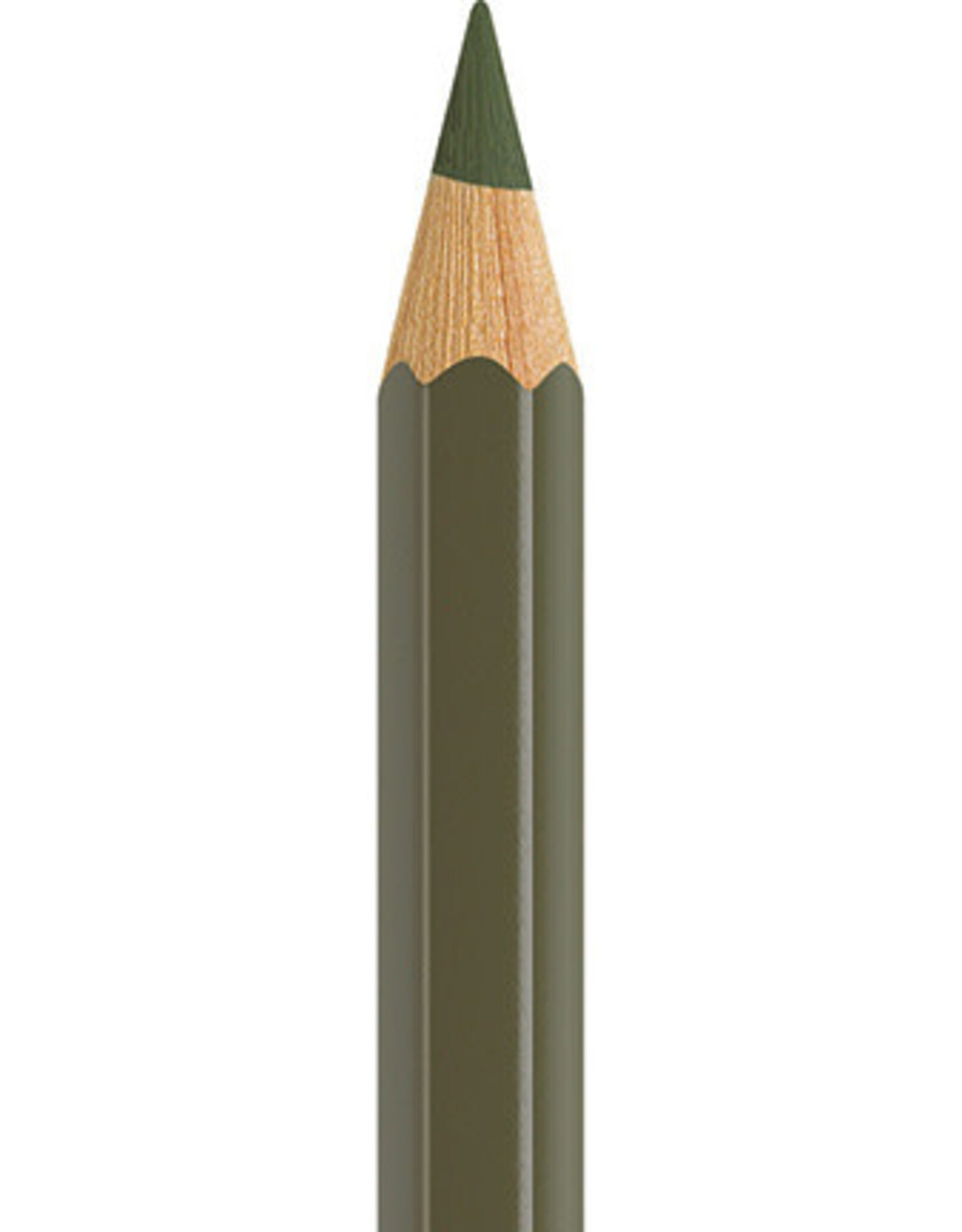 Faber Castell Faber Castell - Albrecht Dürer - Aquarelpotlood  Olive green yellowish  173