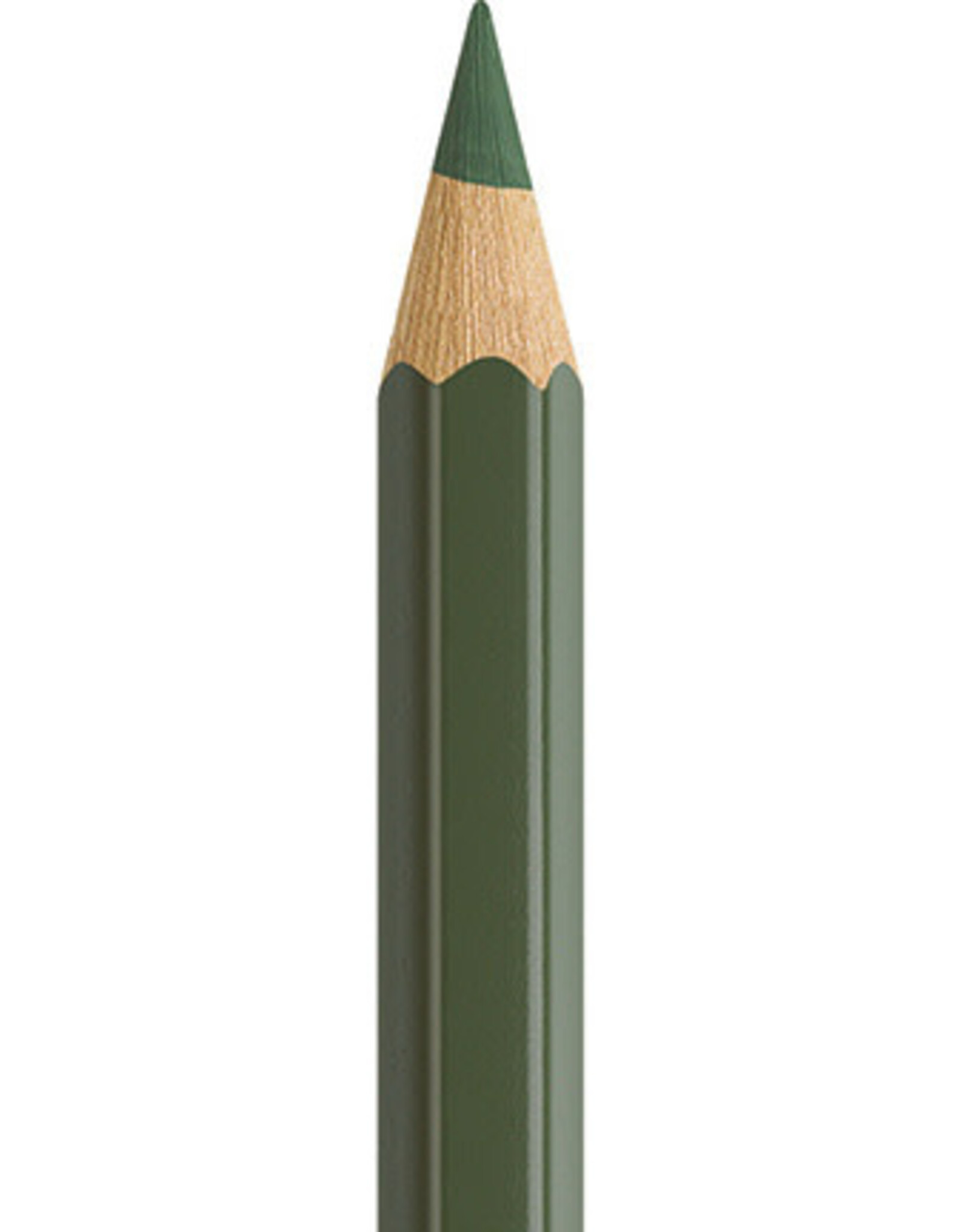 Faber Castell Faber Castell - Albrecht Dürer - Aquarelpotlood Chromium green opaque  174