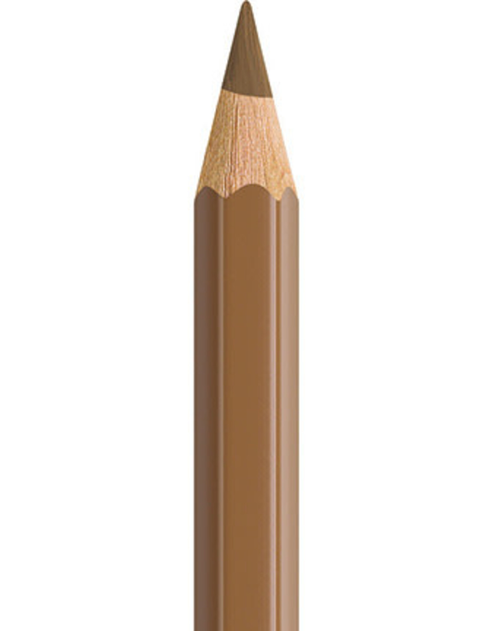 Faber Castell Faber Castell - Albrecht Dürer - Aquarelpotlood  Raw umber  180