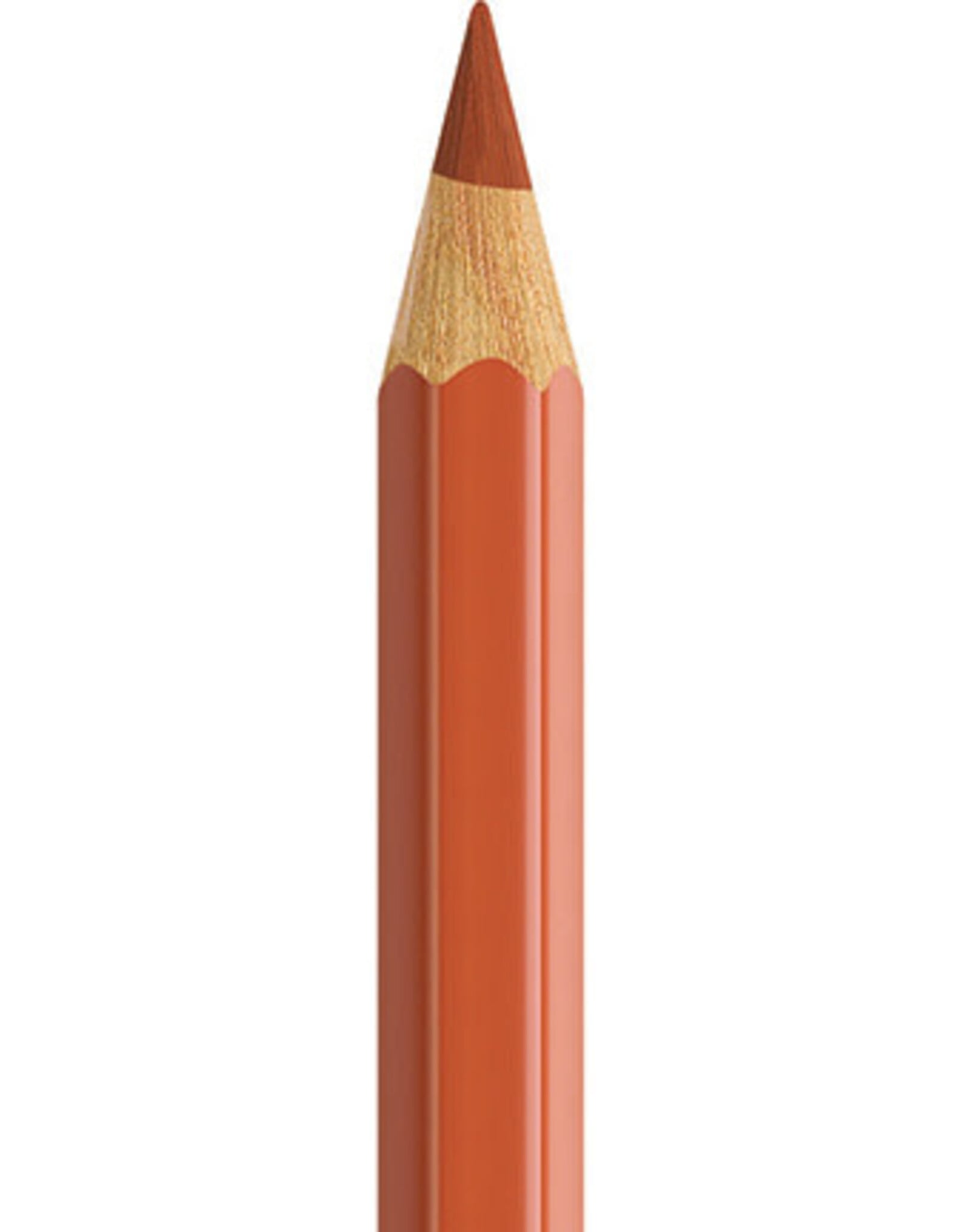 Faber Castell Faber Castell - Albrecht Dürer - Aquarelpotlood  Sanguine 188