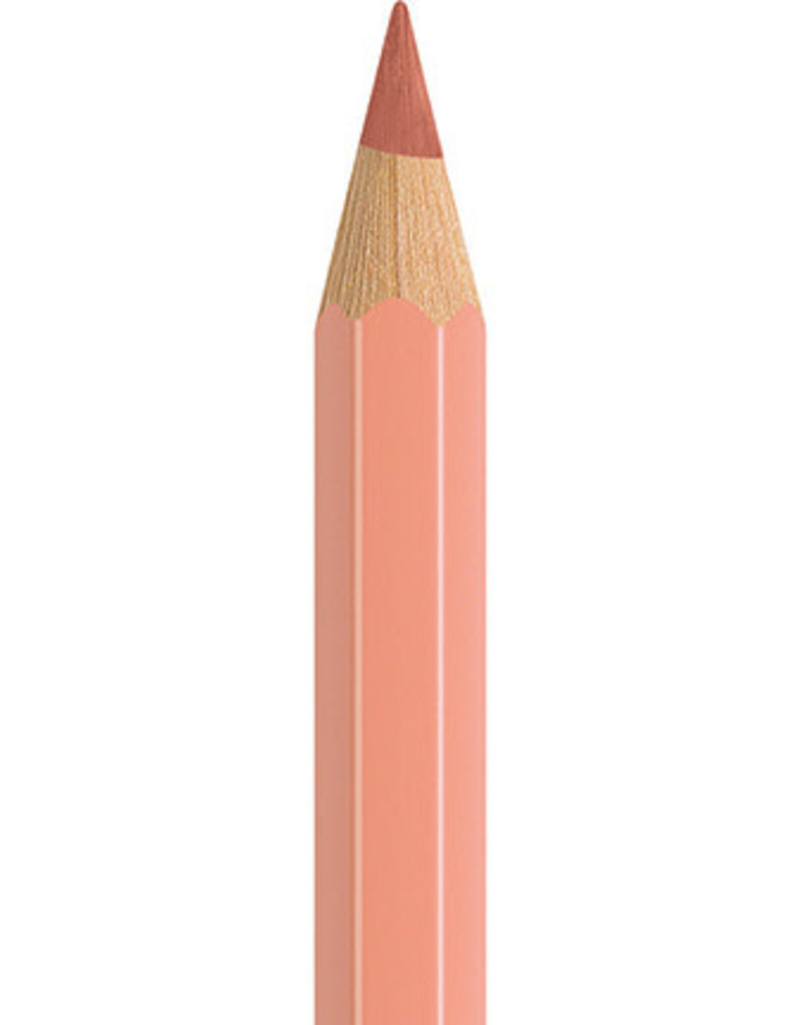 Faber Castell Faber Castell - Albrecht Dürer - Aquarelpotlood  Cinnamon 189