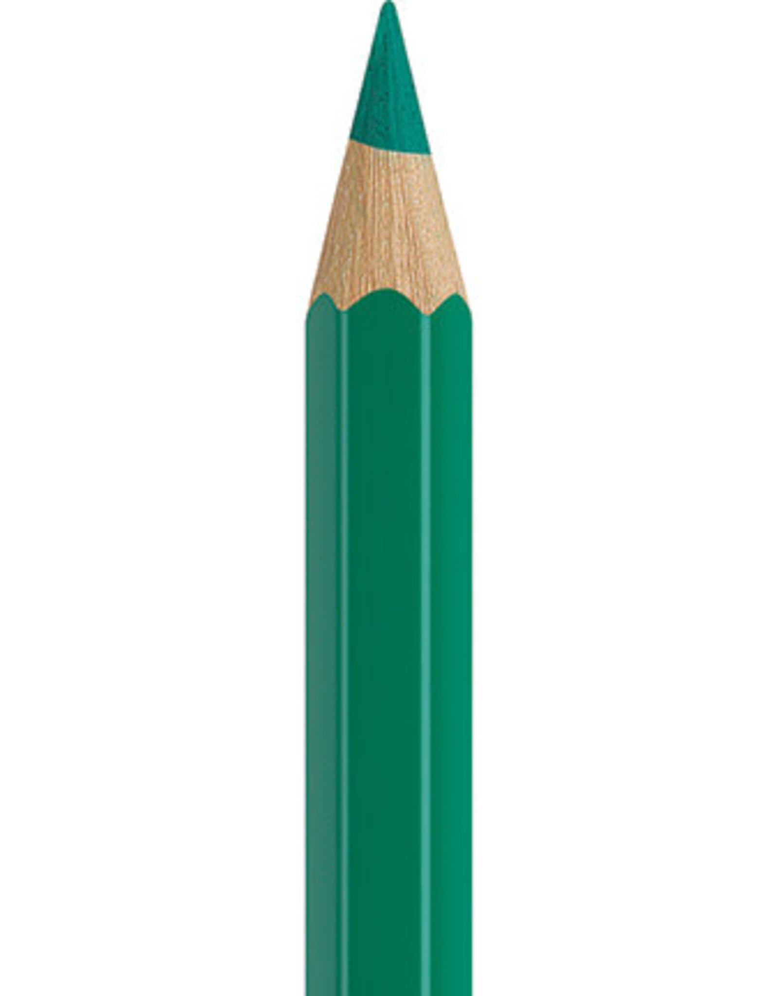 Faber Castell Faber Castell - Albrecht Dürer - Aquarelpotlood  Dark phthalo green  264