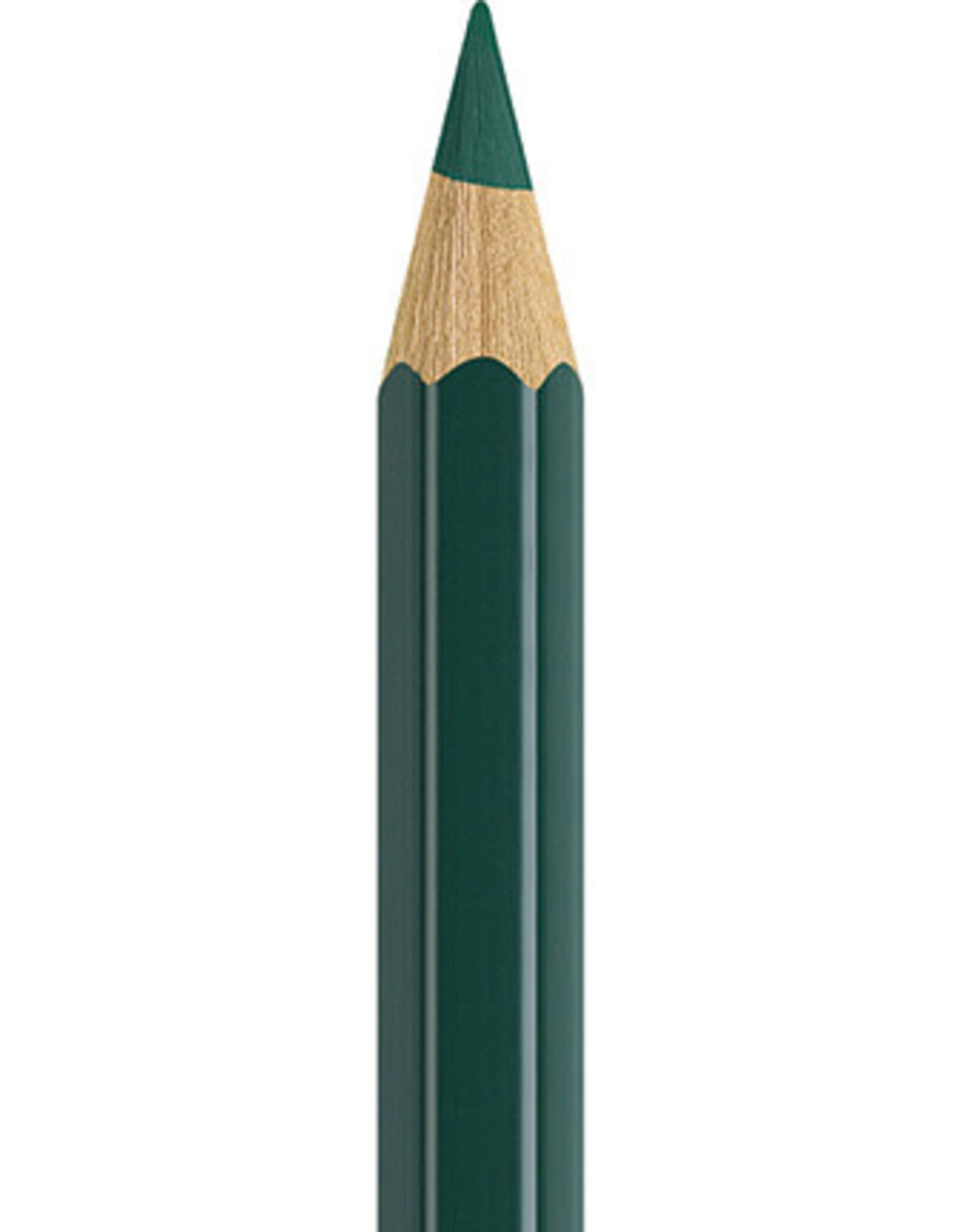 Faber Castell Faber Castell - Albrecht Dürer - Aquarelpotlood  Pine green  267