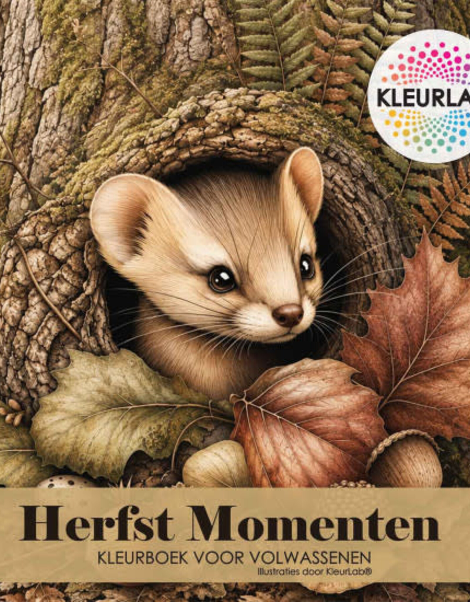 KleurLab KleurLab,  Herfstmomenten  , Kleurboek voor volwassenen