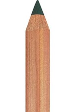 Faber Castell Faber Castell - Pitt - Pastel potlood - Juniper green 165